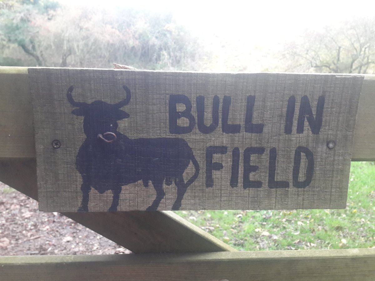 Nice nose ring detail to the sign @LakesStiles