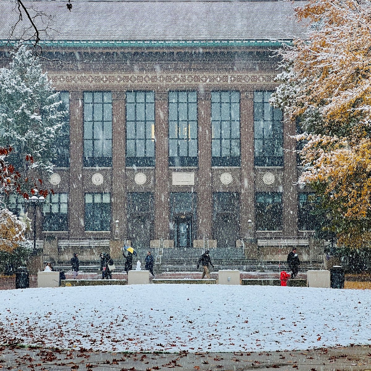 When fall meets winter. 🍂❄️