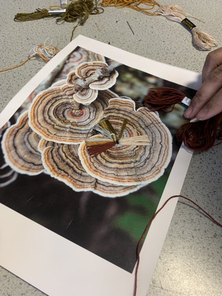 Kingsway Park High School Art Department tweet media