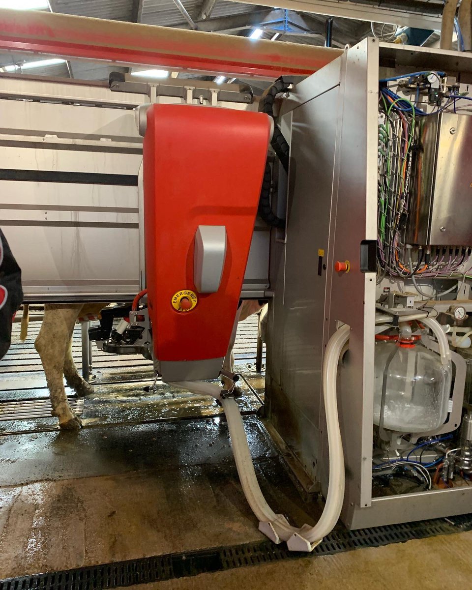 LelyMidlands's tweet photo. A big thank you to the Dakin family at Matlock Meadows for hosting our first ever Open Farm Sunday 👏🏻 we hope everyone who joined us had a fantastic day learning all about the Lely Astronaut, Lely Discovery 90, Lely Juno and Lely Luna brush 😊 🐄 🥛 #BrightFarming #TeamDairy https://t.co/VZwtldnzD9