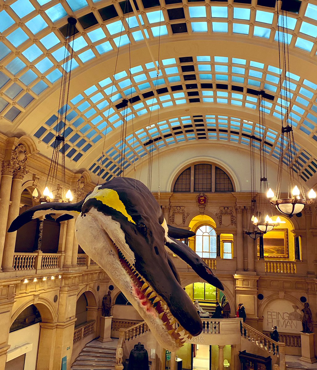 AnnaBabilinski's tweet photo. LOTS of walking around and sight seeing in #Bristol today. 👀 Also discovered my new favourite #dinosaur @bristolmuseum - the Scelidosaurus. 🦕

#visitbristol #tourist #museum #Dinovember https://t.co/7M8YTISDVd
