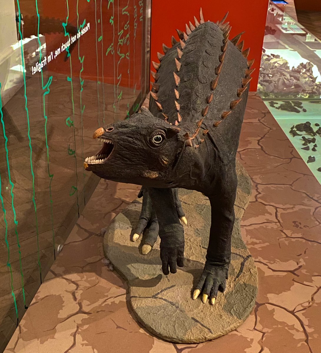 LOTS of walking around and sight seeing in #Bristol today. 👀 Also discovered my new favourite #dinosaur <a href="/bristolmuseum/">Bristol Museum & Art Gallery</a> - the Scelidosaurus. 🦕

#visitbristol #tourist #museum #Dinovember