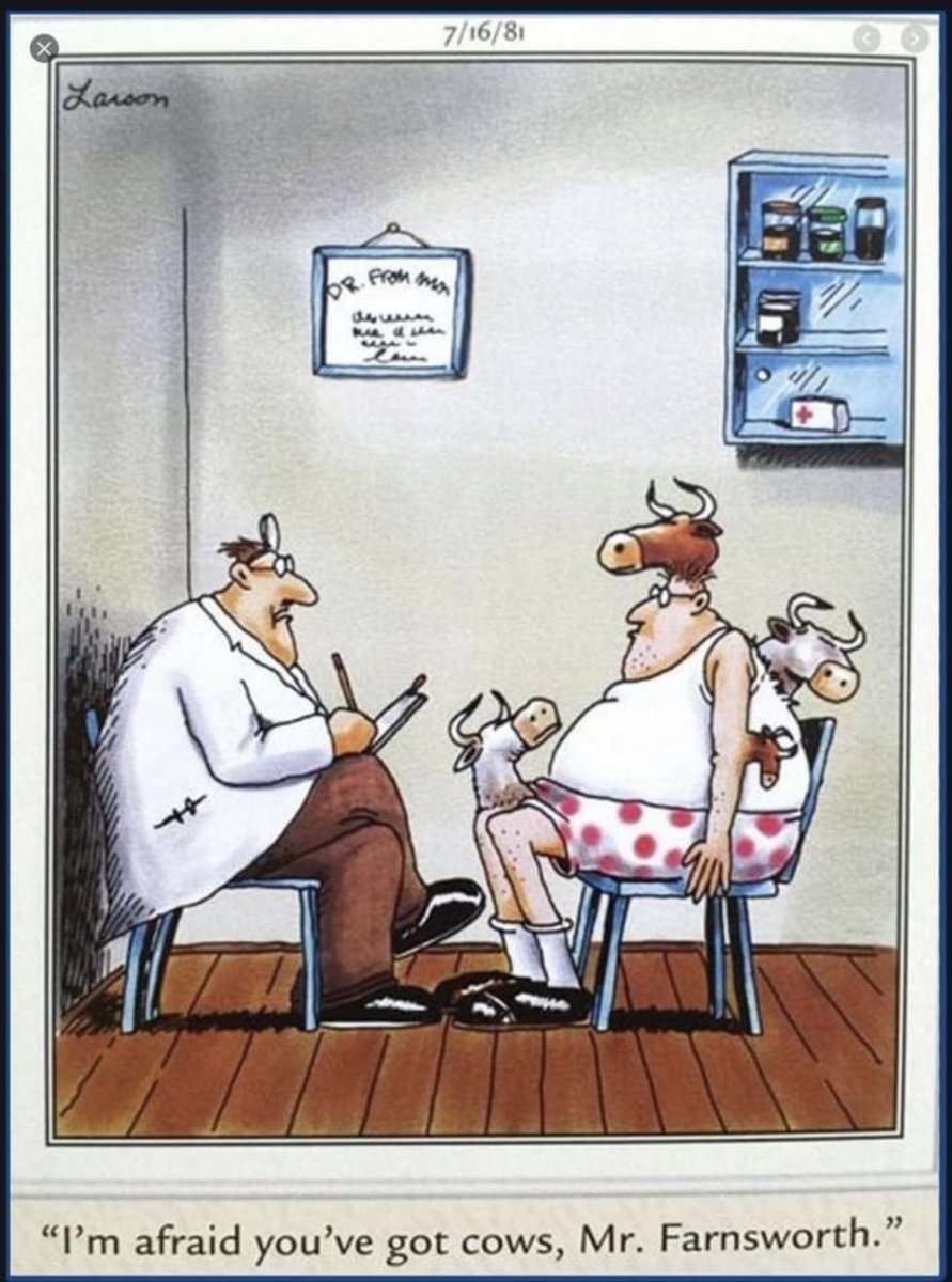 Cow Funnies!!