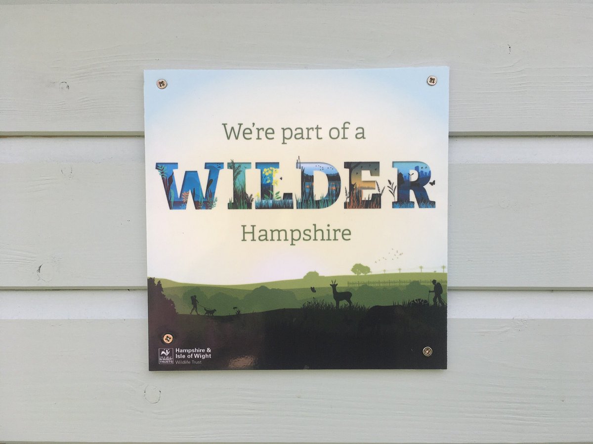 msnewman1001's tweet photo. @LymWild @BritainWilder @HantsIWWildlife @Debbie_Tann @NewForestNPA @Rhizowen @newforestranger @sarahrix1 Popped ours on our shed too! Great to have you as part of Team Wider. (St Alban’s Primary, Hants) https://t.co/E46l7NL3bc