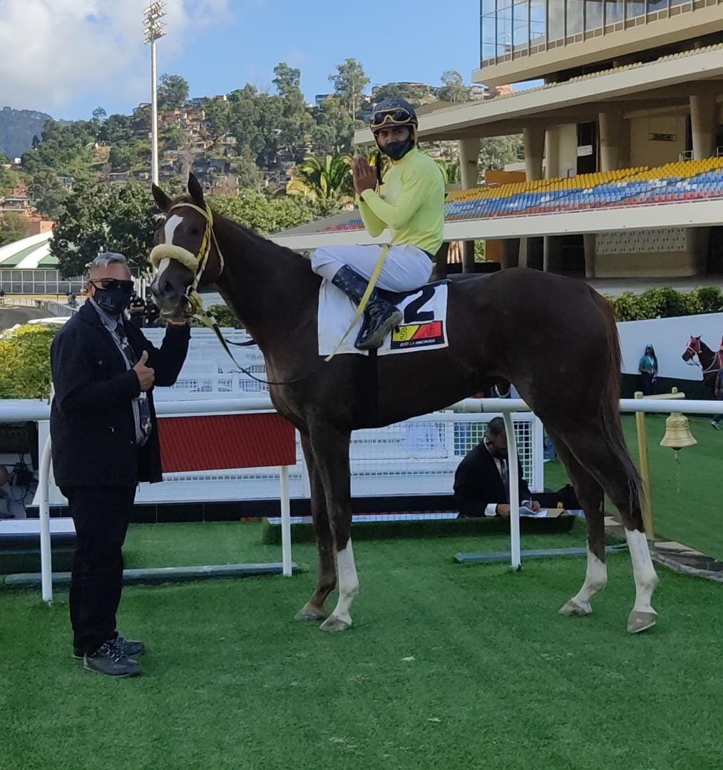 #EnFotos 📸 | En la 6ta. carrera del programa triunfa la yegua de Omar Oviedo, "My Souling Mate" (2), con la monta de Roberth Capriles.

➡️En el 2do. lugar arribó "Yokohama" (9).

#Hipismo