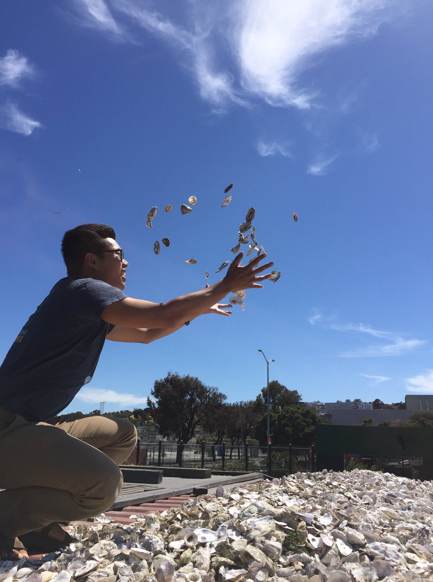 Ten4Ocean's tweet photo. Your support to our #Ten4Ocean campaign will help @WildOysters organize 40 volunteers into bag cured oyster shells into biodegradable bags to be attached to Oyster Reef Balls, thus increasing the success of native #oyster recruitment in #SanFranciscoBay! https://t.co/HdQ9DayDLx https://t.co/SGkvXIX5hi