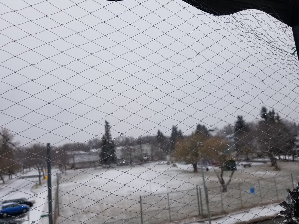 sunaglitters's tweet photo. @Sinjinottv first fall of the year https://t.co/Fsicwm3mlB