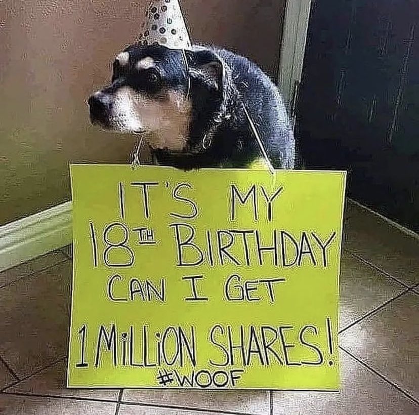 letzbreel1's tweet photo. You got my share precious boy!🐾❤️ https://t.co/RUSKDraa39