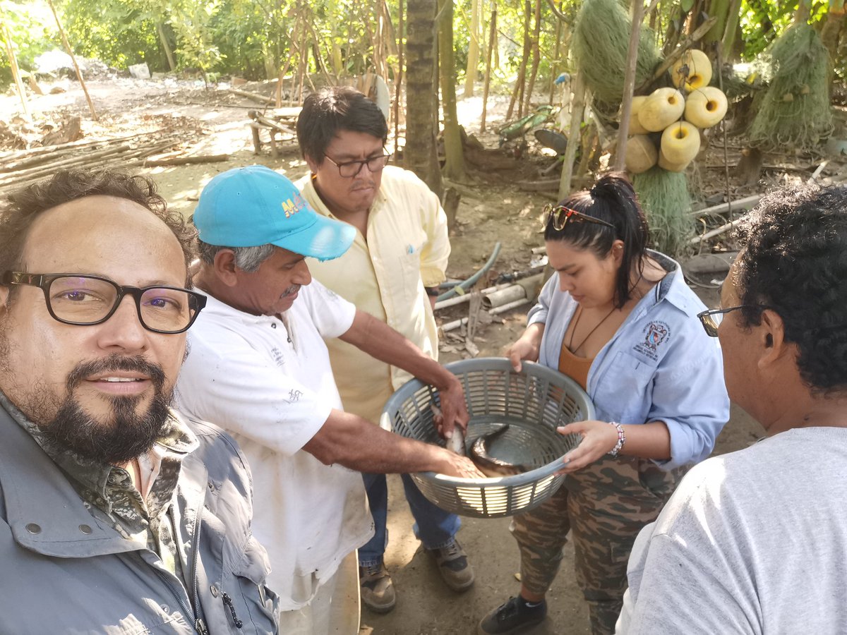 Eliasgopherus's tweet photo. De campamento, volando drones y conociendo al pejelagarto (armado) en Tapachula, Chiapas, excelente experiencia. 👍 https://t.co/joa9ZlNR7Y