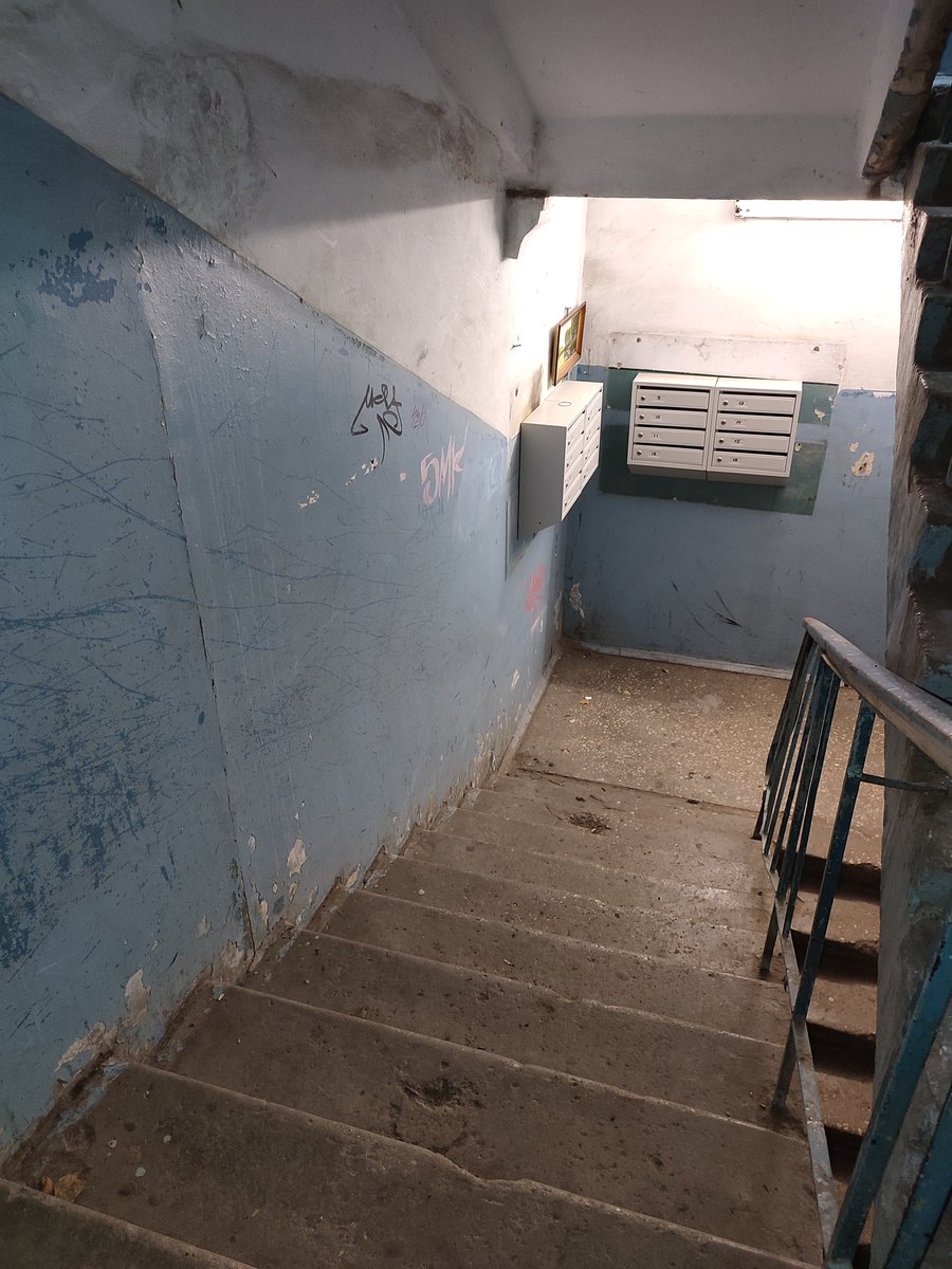 Daria Yakovleva tweet media