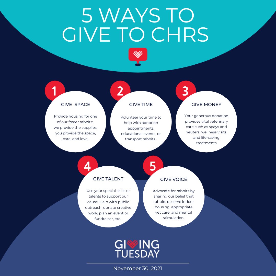 ColumbusRabbit's tweet photo. If you would like to get involved by fostering a rabbit or by volunteering your time or talent, please send us a message.

To donate, please consider one of the ways listed on our website:

https://t.co/FuSn3HNSoS https://t.co/RBcMiZ7ZMX