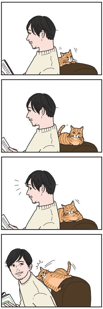 猫にとってはソファーも肩も同じ【男の猫道】ねこのきもちWEB MAGAZINE限定話 vol.111|ねこのきもちWEB MAGAZINE https://t.co/QSxE34XNUB