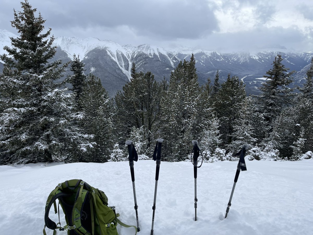 Lourdes102427's tweet photo. Beautiful hikes in Banff this weekend! Tunnel Mountain &amp; Sulphur Mountain 🏔 @Chef_Brochew @banffcentre https://t.co/Cuew5S4Vw8