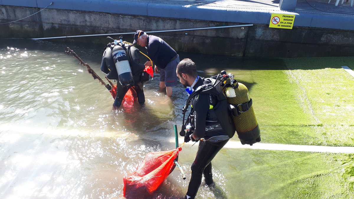 Proyectos Medioambientales Marinos tweet media