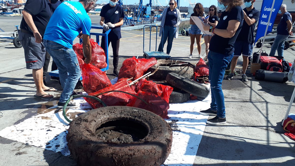 Proyectos Medioambientales Marinos tweet media