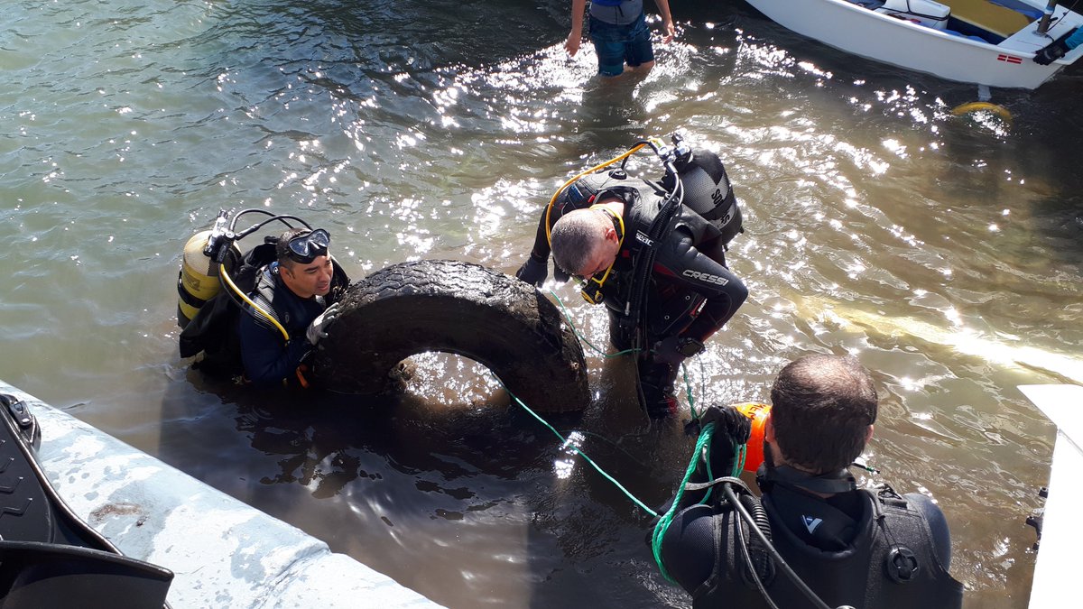 Proyectos Medioambientales Marinos tweet media