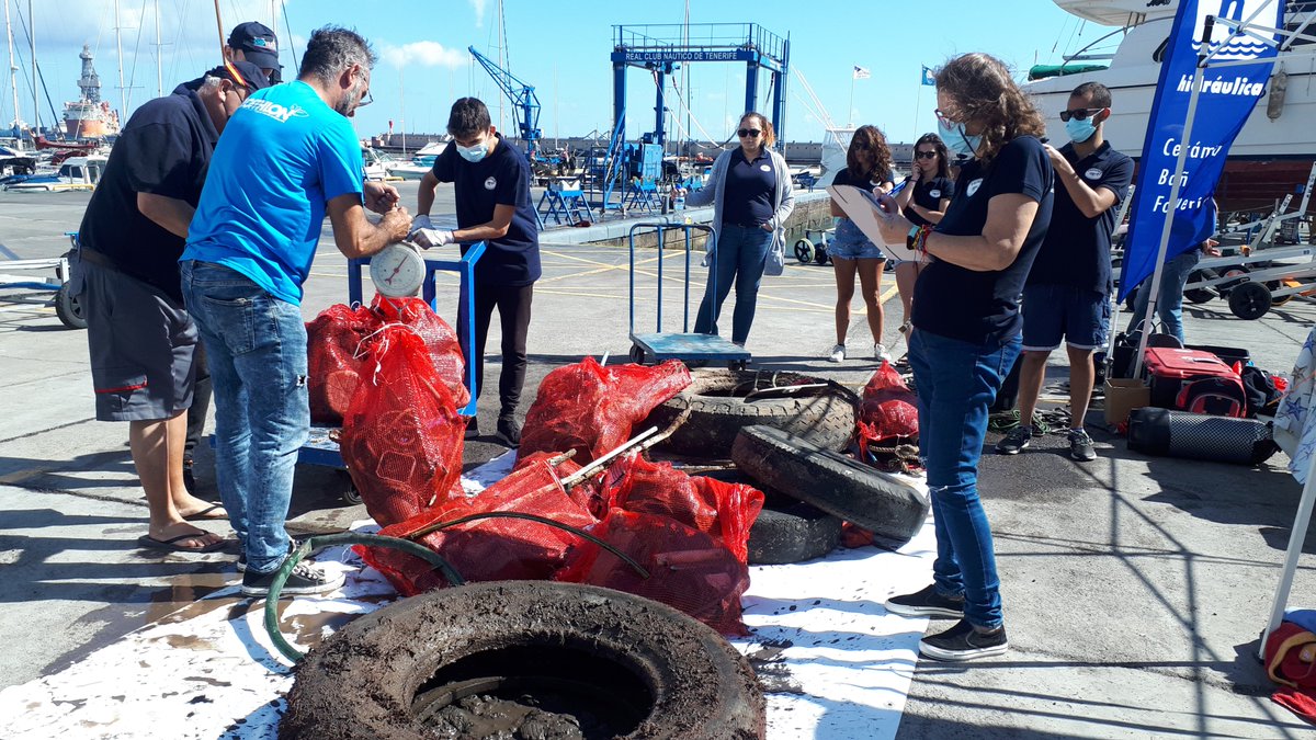 Proyectos Medioambientales Marinos tweet media