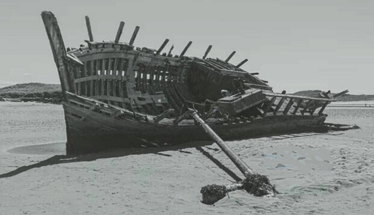 "هون عليك، فإن الأمور تجري بتقدير الله..
لو شهدت قتل الخضر للغلام، لأنكرت ذلك، وقلت ما ذنب الغلام!
ولو كنت مع المساكين حين ثقبت سفينتهم، لقلت ألا يكفي الفقر حتى نصاب في مصدر رزقنا!
حتى إذا كُشفت الحجب، تبين لك أن الخير في خلاف ما كنت تظن!
ألا تعلم أنه اللطيف الخبير" (م)

#جماليات