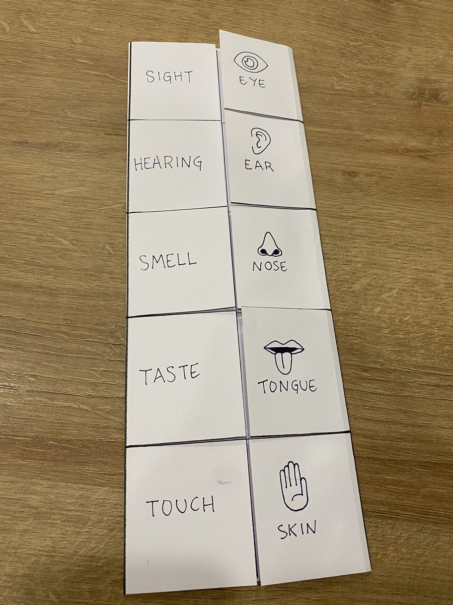 BorjaTeacher's tweet photo. Probando cosas nuevas, a ver como se apañan en clase para completarlo. #lapbook #fivesenses https://t.co/NZ7huUkRcO