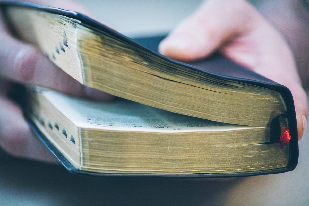 Church & State tweet media