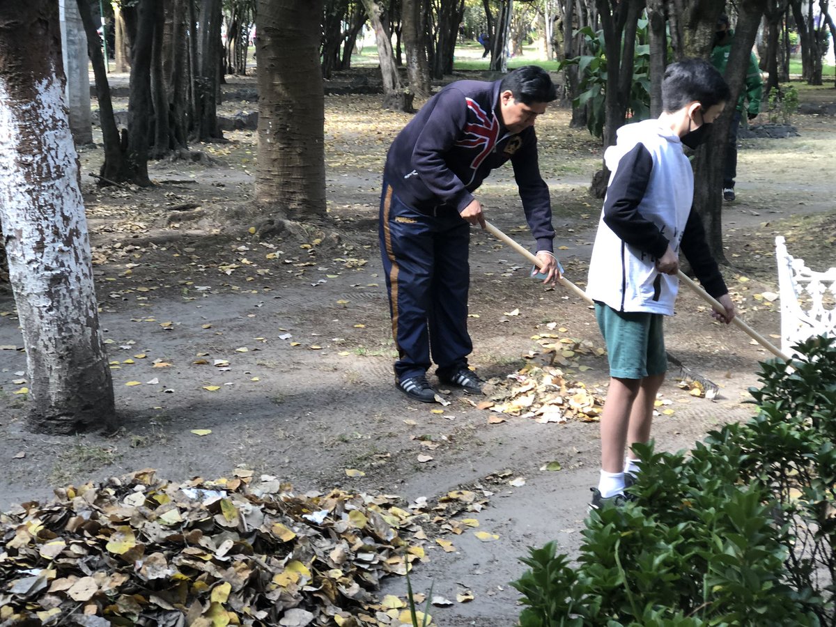 04360mx's tweet photo. @Claudiashein @giogutierrezag @Alcaldia_Coy 

Requerimos su apoyo para la recolección de basura y cascajo.

El día de ayer sábado 13 se llevó a cabo tequio de limpieza en áreas verdes de @CopilcoUniv 

Brigada de apoyo y vecinos participaron pero la basura SIGUE AHÍ. https://t.co/4DYEy1MNsU