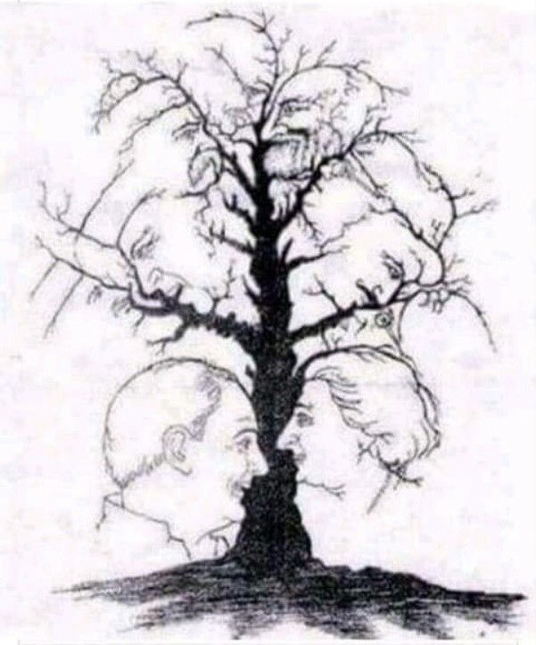 SinghLions's tweet image. I SPOTTED 4 FACES. AND YOU?