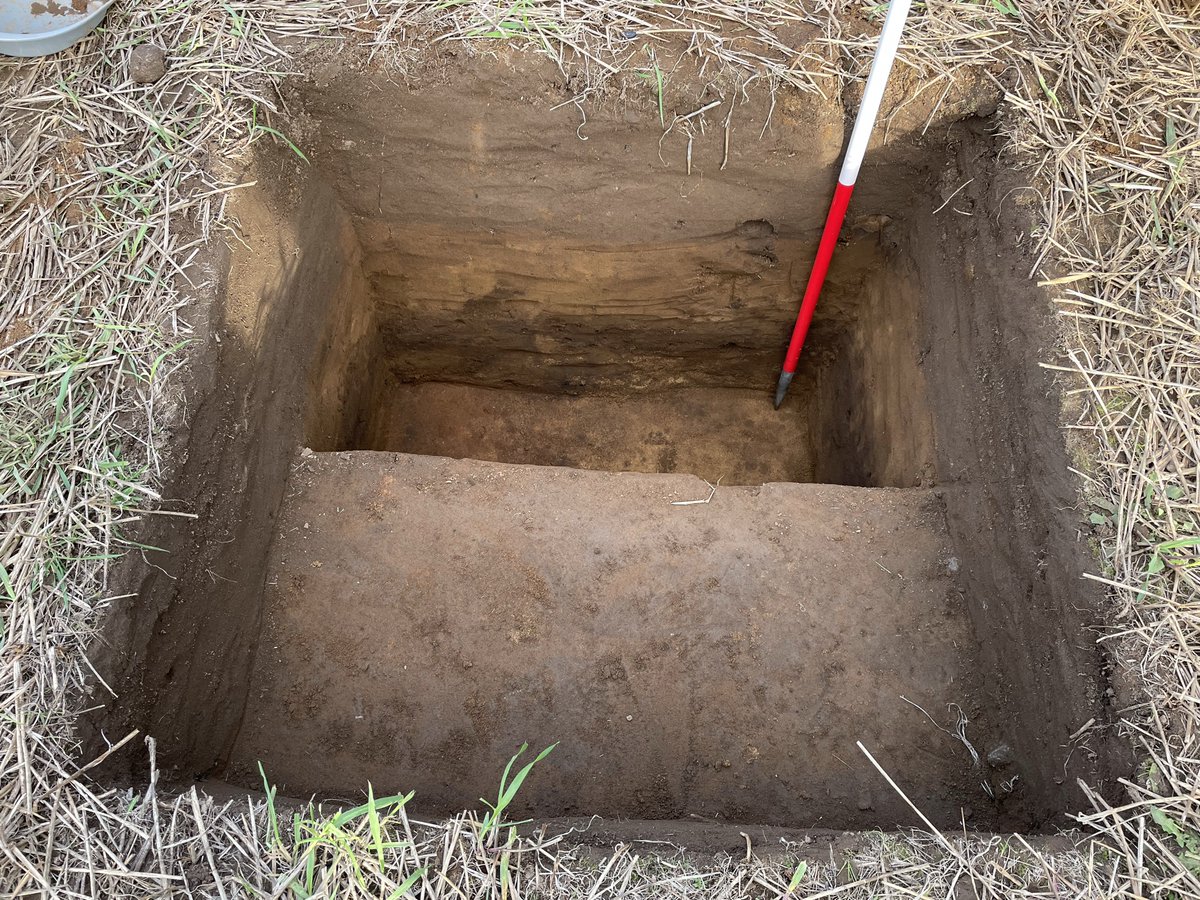 Mesolithic Deeside tweet media