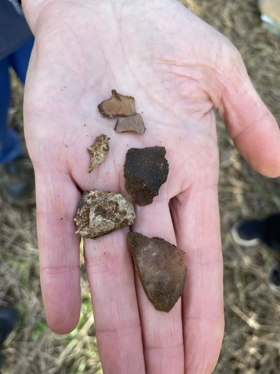 Mesolithic Deeside tweet media