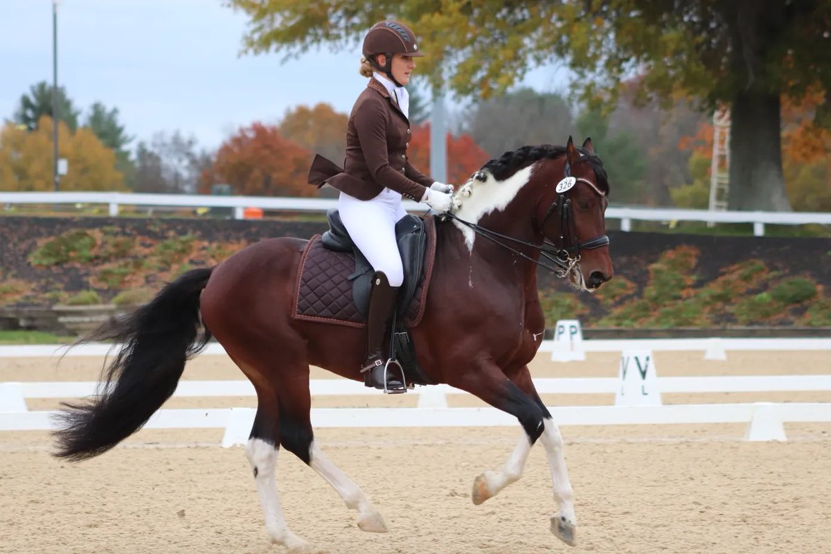 USDF's tweet photo. Sights from Day 3 of the US Dressage Finals presented by Adequan®. Check out the full gallery here ⤵️
https://t.co/uzV3Id2W7g

Spot someone you know? Tag them! 

📸 by Chelsey Burris and Katie Lewis

#USDFinals https://t.co/rfaX4L1Xt7