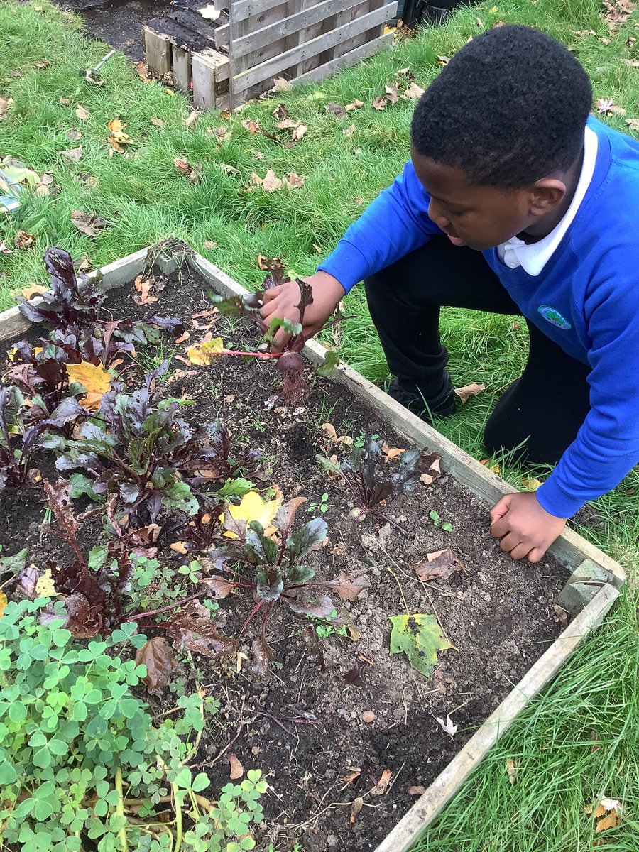 Outdoor Learning tweet media