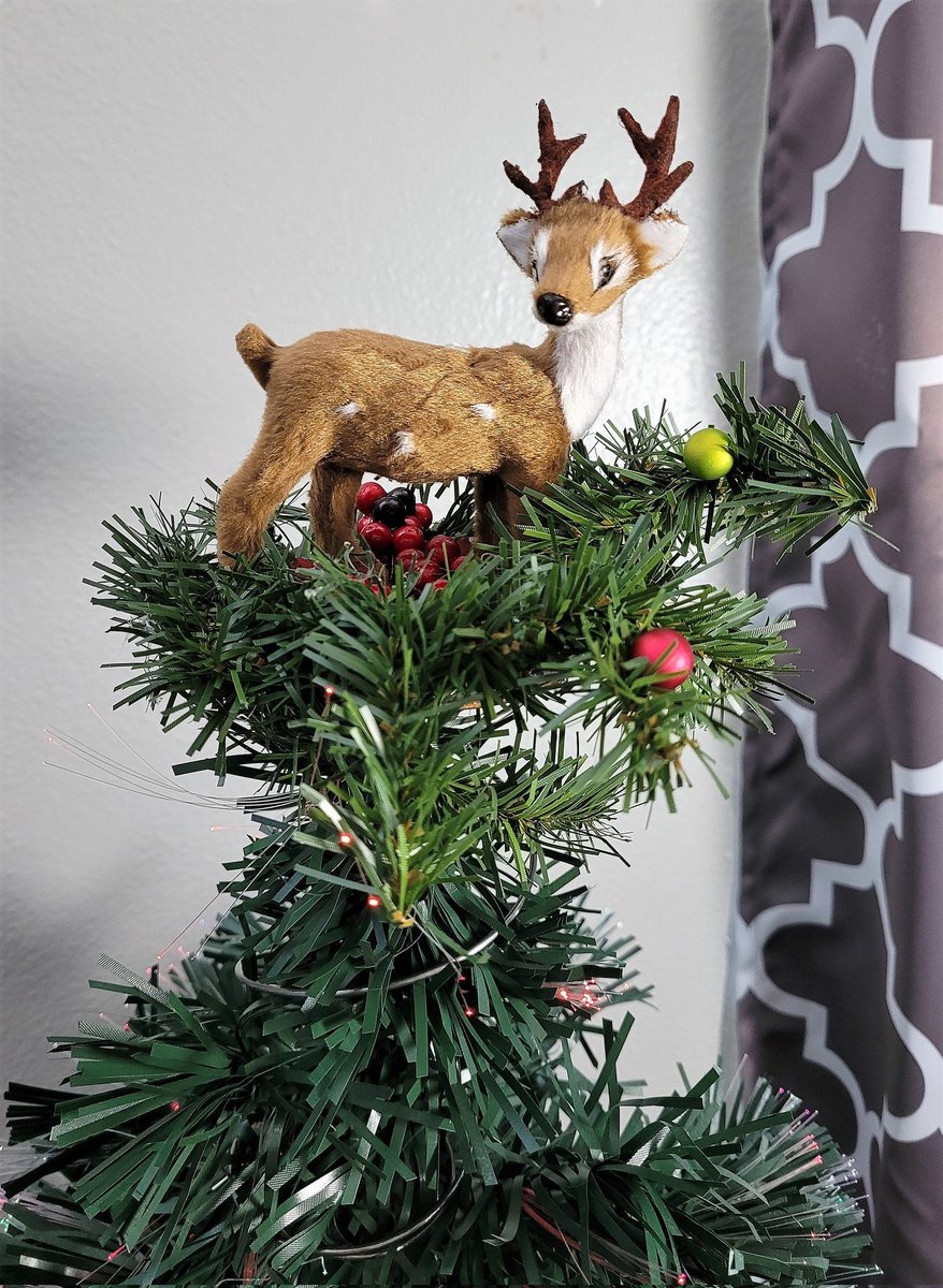 Excited to share the latest addition to my #etsy shop: Spotted Deer Bedspring Tree Topper, Animal Tree Topper, Rustic Topper, Holiday Decoration, Christmas Star #bedspring #rustictreetopper #deertopper #christmasstar #animaltopper #woodlandcreatures etsy.me/3oqbQ7T