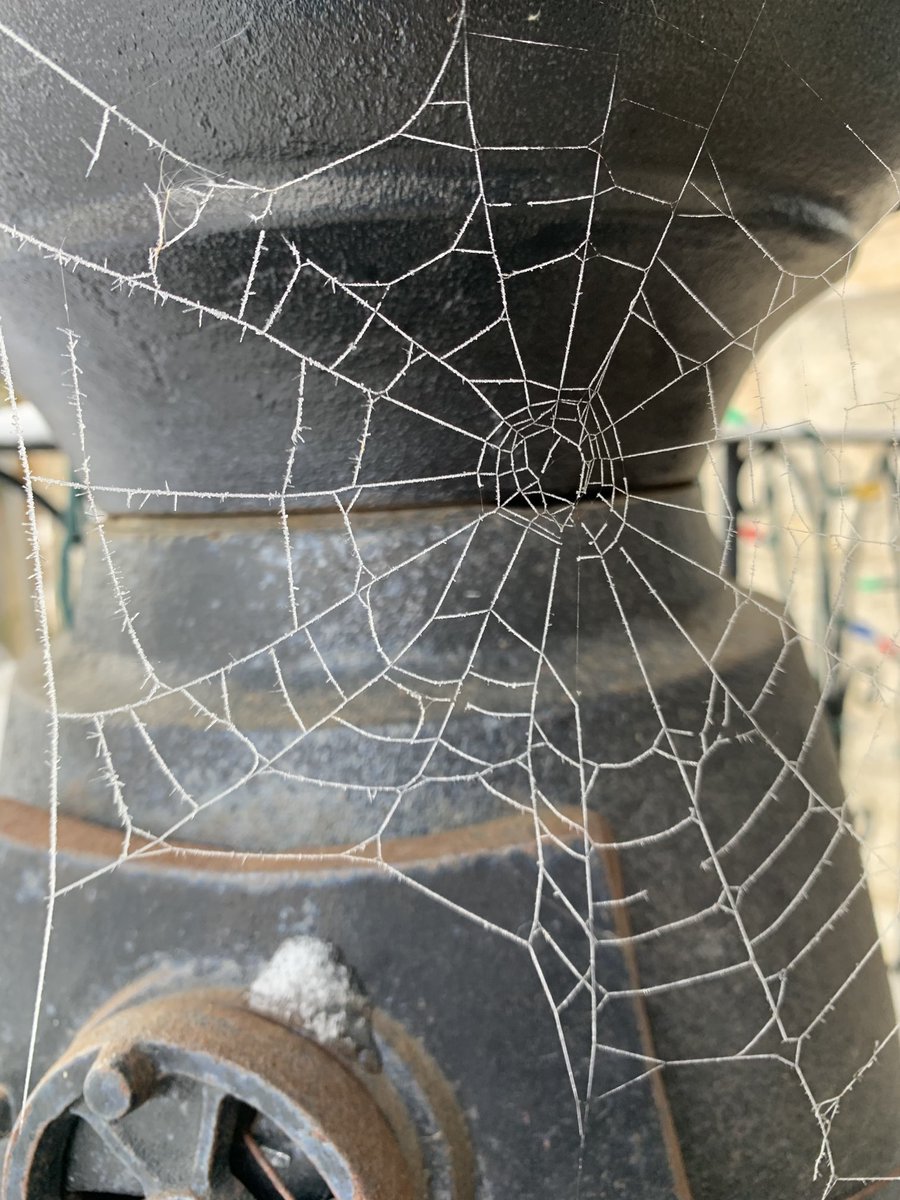 HarryWHBell's tweet photo. Only the hoar frost exposed this intricate natural design.Tiny glimpses of beauty like this remind me that despite the apparent craziness of the world around us, we should always look for the https://t.co/xjBT2fZNUA’s there.Maybe hidden.But there all the same! https://t.co/62DuS2WmND