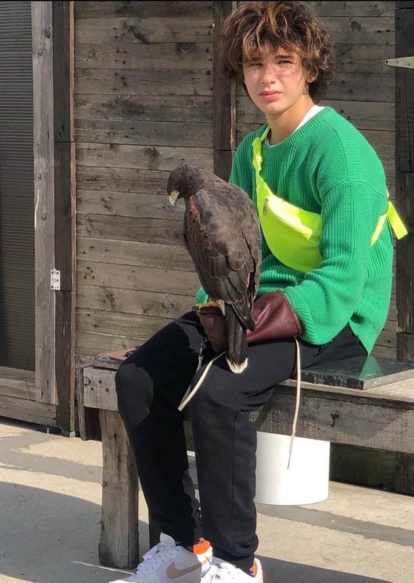 MertGunMx's tweet photo. Aquí viendo y visitando unas aves muy bonitas por cierto jjajajajjajajajjajajjaaaj @MertGunMx se divierte https://t.co/9JCUxTTeVw