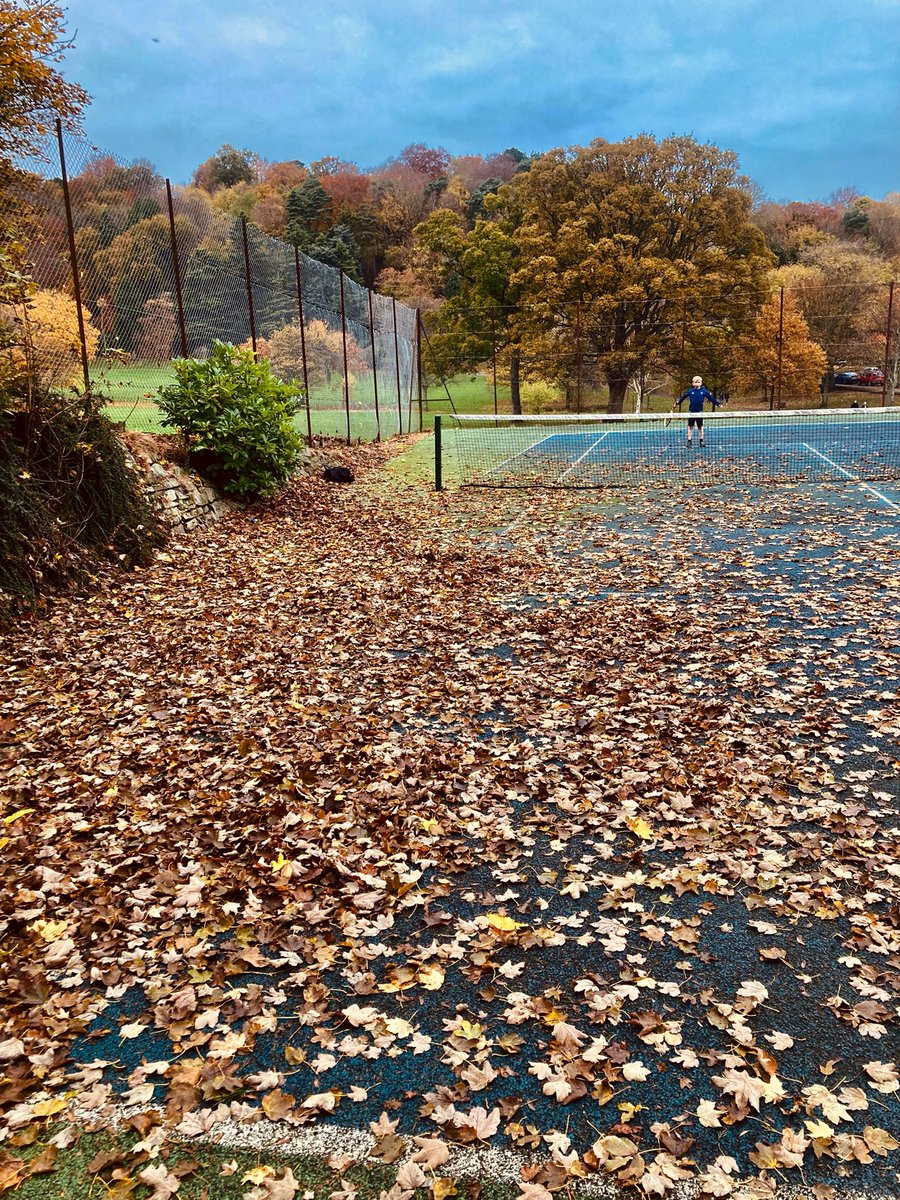 kirkdailly's tweet photo. Hawk-Eye had its work cut out at Balgay this afternoon!! https://t.co/qWe05cpy8f
