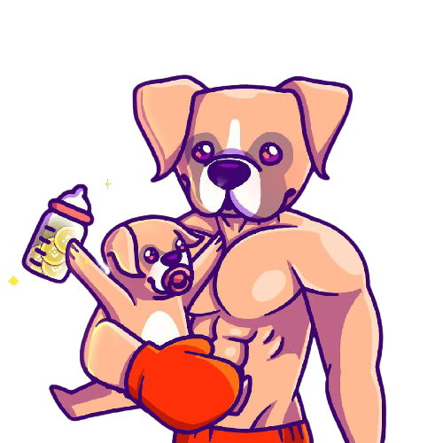 Boxer Inu tweet media
