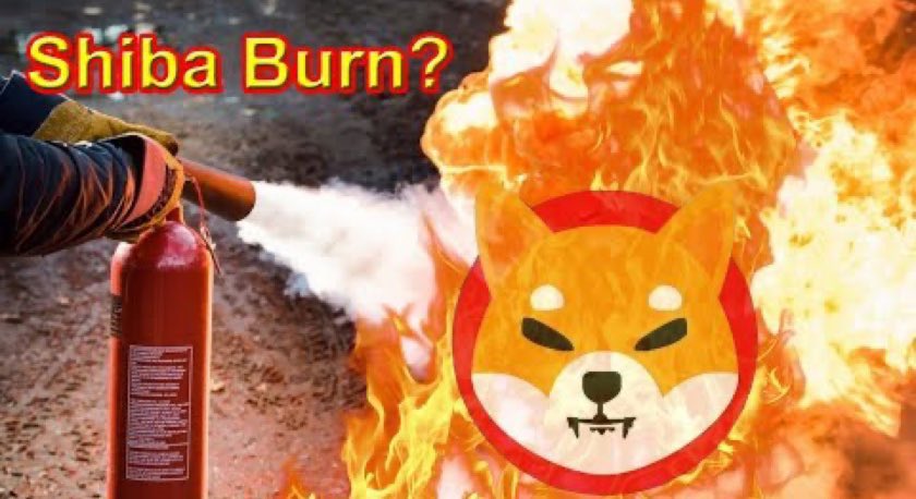 _cryptosurfer's tweet photo. WE DONโT NEED NO WATER ๐ฆ LET THE MOTHER FโER #BURN
#November15 $SHIBABURN ๐ฅ๐ฆ #coinburn #shibparty #shib $shib #shibarmy unite & send some shib https://t.co/95zxWafTFU