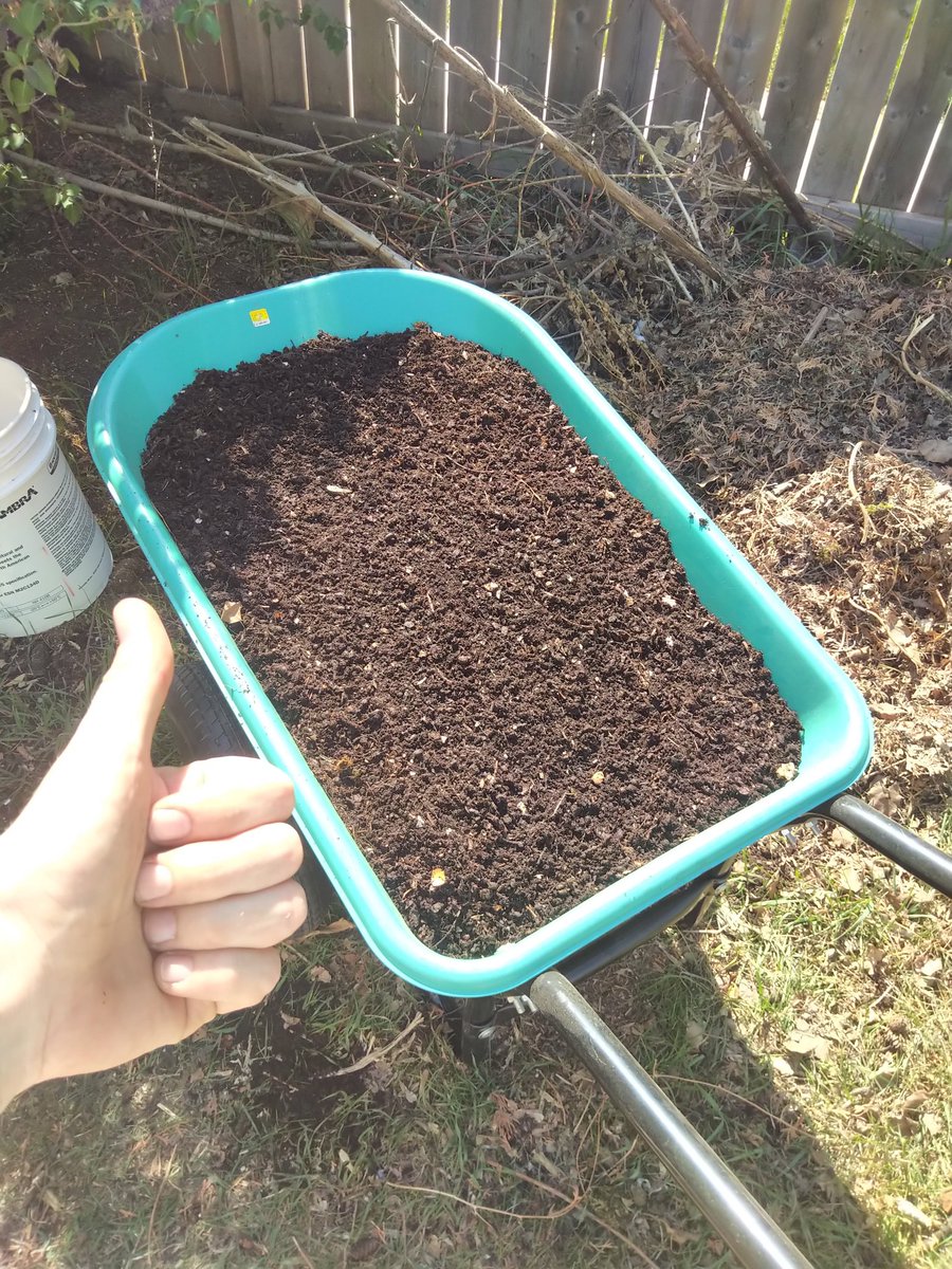 TempleGrower's tweet image. Gums will be beaten on this one I assure you... #CompostTea is my SHIT.😁 We'll be live in 30 mins if you wanna come have a listen to some prophetic waxing re: protozoa and fungal hyphae.🤓🍄🌱

#GrowYourOwn #Cannabis #Compost #Podcast