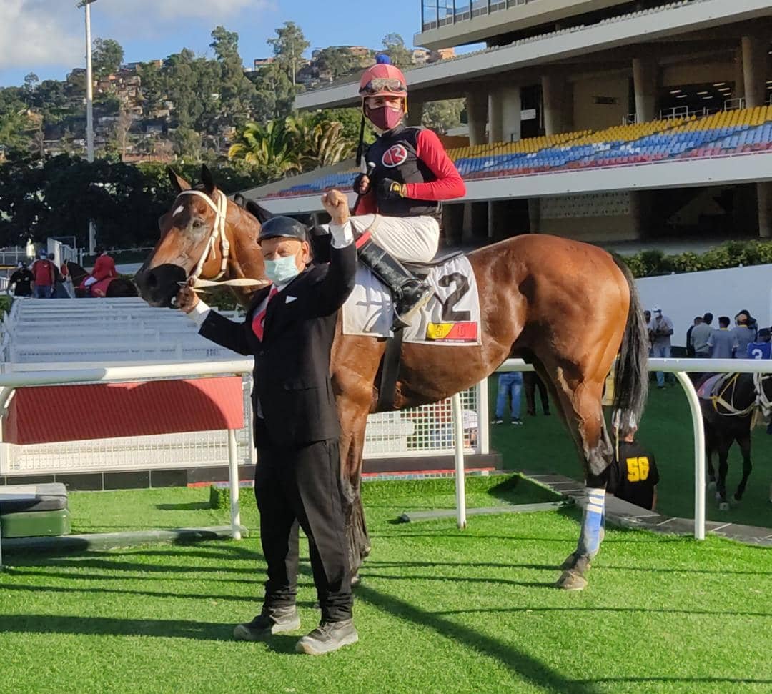 #EnFotos 📸 | Cipriano Gil consigue la victoria sobre el lomo de "Pallone D Oro" (2), con ventaja de ½ cuerpo sobre "Morralete" (6).

🎖️La preparación estuvo a cargo de Juan C. García.

#Hipismo