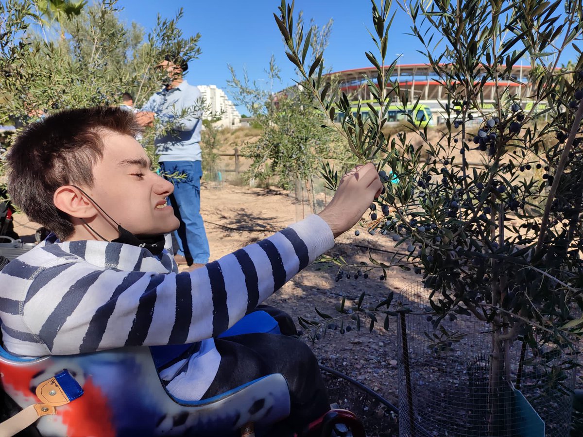 CPEE Eusebio tweet media