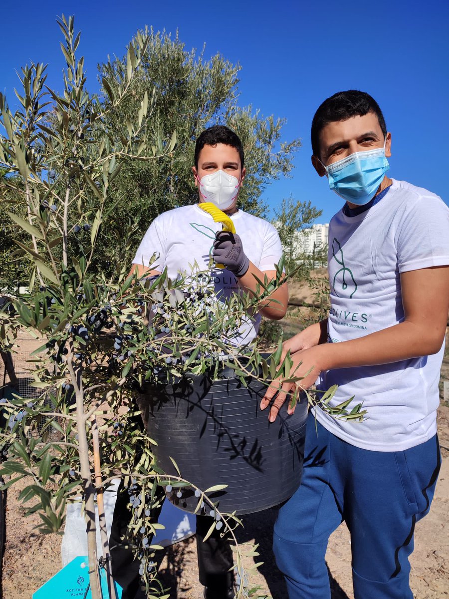 CPEE Eusebio tweet media