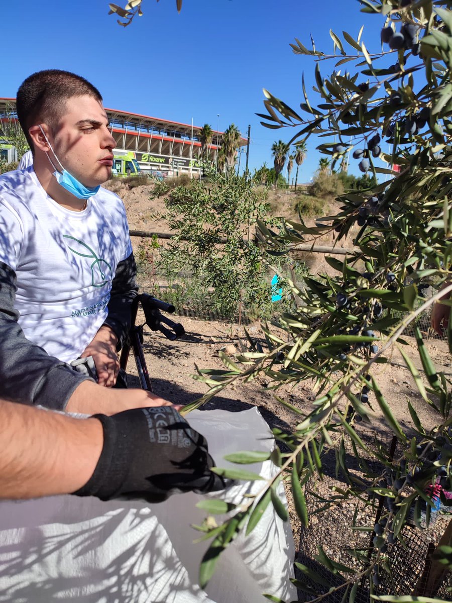 CPEE Eusebio tweet media