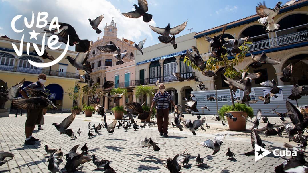 👉Se respira tranquilidad envidiable #Cuba🇨🇺 es un pueblo de #Paz, un Estado que nunca ha patrocinado la violencia.
#CubaViveYRenace #LaRazónEsNuestroEscudo.... 
Pero algo muy claro.... #AquíNoSeRindeNadie 
👇👇👇