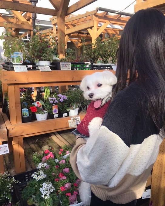 おはようございます🐶 