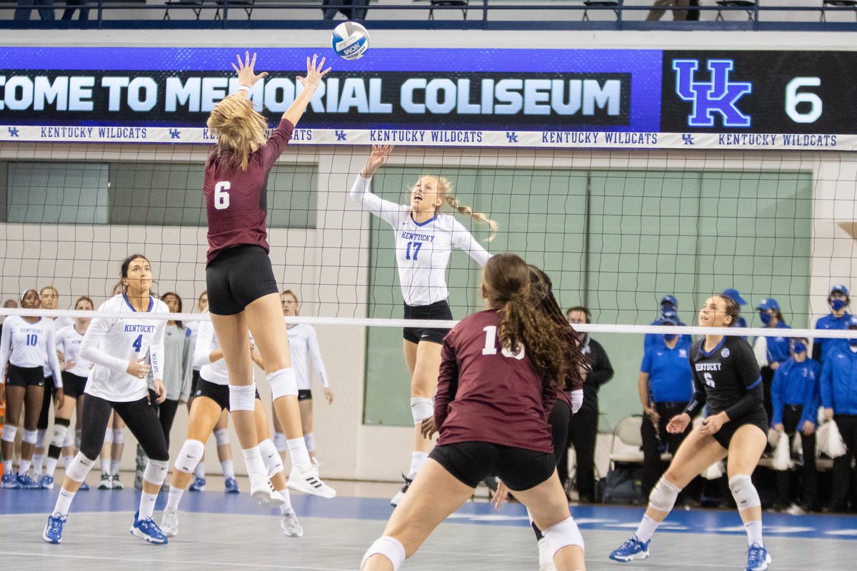 ABramanPhoto's tweet photo. The Wildcats crush the Aggies 3-0 in volleyball. #ukathletics #beatTAMU #volleyball #BBN https://t.co/eVKgMAqluz