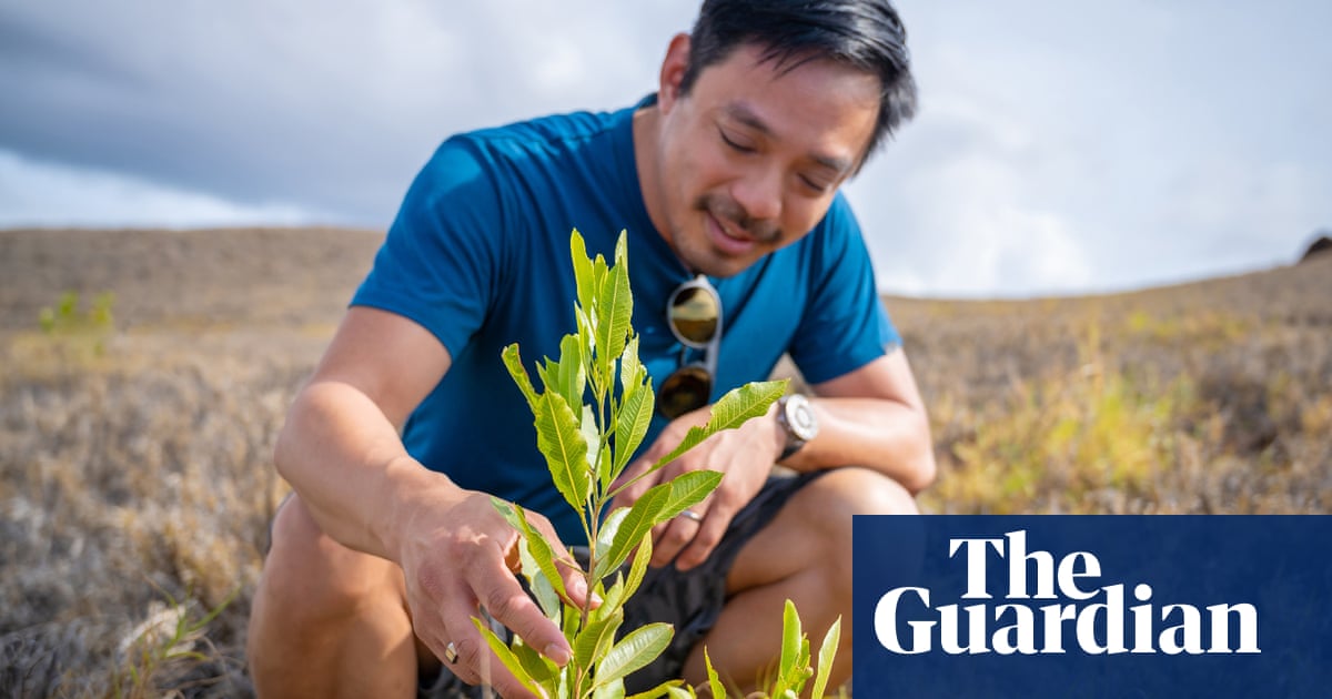 Former Reddit CEO Yishan Wong has founded a company, aiming to reforest 3bn acres🌱 theguardian.com/environment/20…