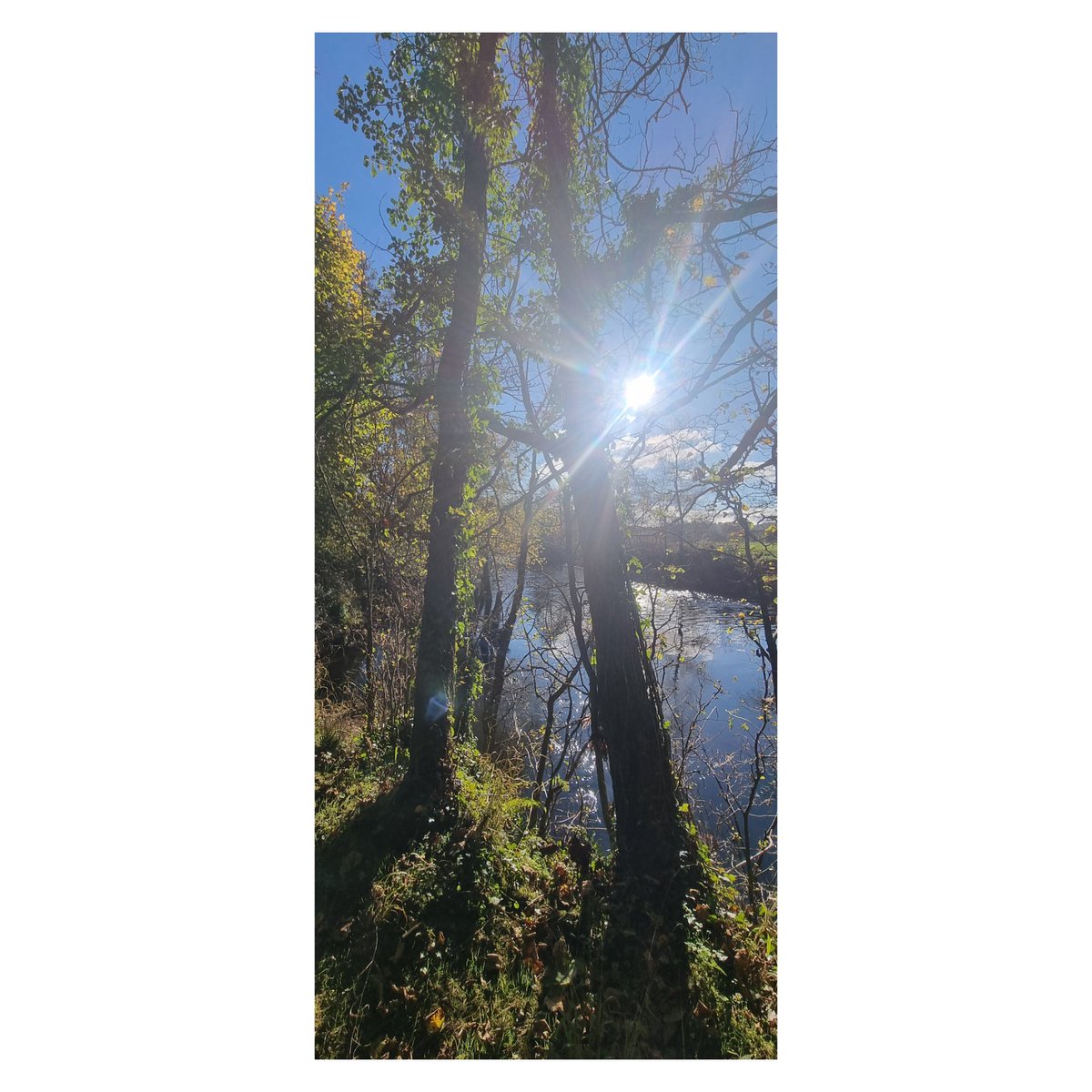 Sas_Herbert's tweet photo. Beautiful #Autumn Walks today in #Teigngrace πβ€π #nature #beauty #gorgeous #beautiful #NaturePhotography #love https://t.co/c824hqvxql