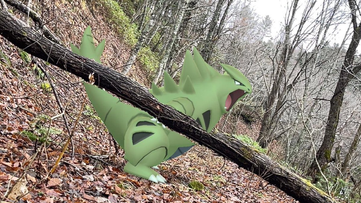 ci_ronnu_p's tweet photo. 山奥の咆哮
#PokemonGO #GOsnapshot
#RealityBlending
#ARPhotoADay #TheGreatOutdoors https://t.co/DET8NWNAGV
