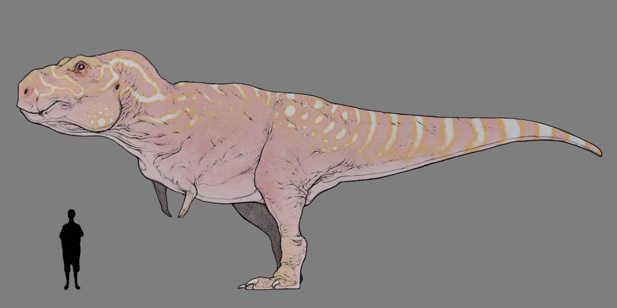 「おは恐竜!! 」|nao70sharkのイラスト
