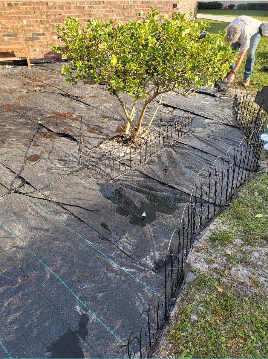 Rocks4th's tweet photo. Preped the garden for planting with the help of my dad. We laid down weeding tarp and installed an irrigation system. I can't want for the kids to get planting. Thank you HEF for supporting our outside learning environment!
@Crestwood2021 
@WeAreHAEST 
@Hillsedufnd https://t.co/paNgAxhd1I