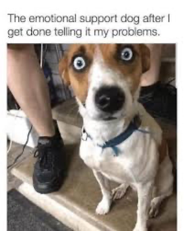 Debbie 🟦🟧✡️🇺🇸🇮🇱🪬🇺🇸🇺🇦🌻🦅 tweet media